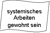 Welle: systemisches Arbeiten gewohnt sein
